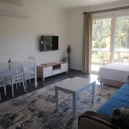 Olympos Apart Apartment *